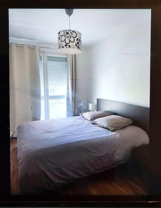 Chez Pascal Sissi -Grand Appart,Ile Nantes, Ccgres 外观 照片